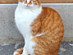 View full size picture