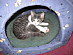 View full size picture