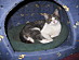 View full size picture