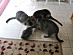 View full size picture