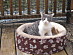 View full size picture