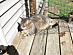 View full size picture