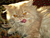 View full size picture