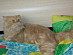 View full size picture