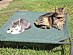 View full size picture