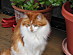 View full size picture