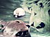View full size picture
