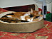 View full size picture