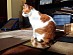 View full size picture