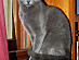 View full size picture