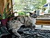 View full size picture