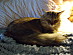 View full size picture