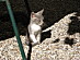 View full size picture
