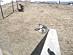 View full size picture