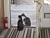 View full size picture