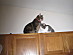 View full size picture