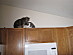 View full size picture