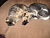 View full size picture