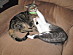 View full size picture