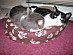 View full size picture