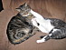 View full size picture