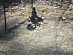 View full size picture