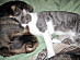 View full size picture
