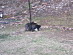 View full size picture