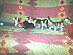 View full size picture