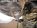 View full size picture