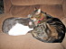 View full size picture