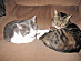 View full size picture