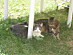 View full size picture