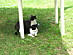 View full size picture