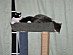 View full size picture