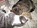 View full size picture