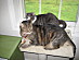 View full size picture