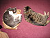 View full size picture