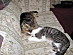 View full size picture