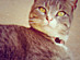 View full size picture