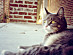 View full size picture