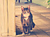 View full size picture