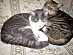 View full size picture
