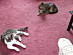 View full size picture
