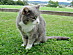 View full size picture