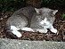 View full size picture