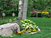 View full size picture