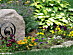 View full size picture