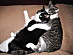 View full size picture