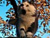 View full size picture